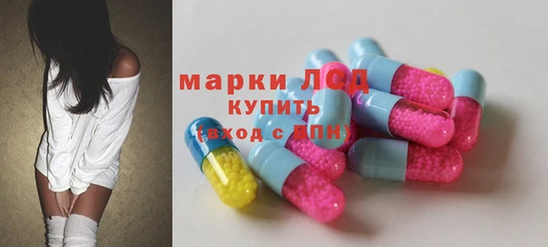 стаф Сатка