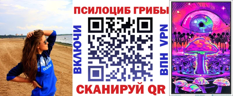 купить закладку  Каменка  Псилоцибиновые грибы MAGIC MUSHROOMS 