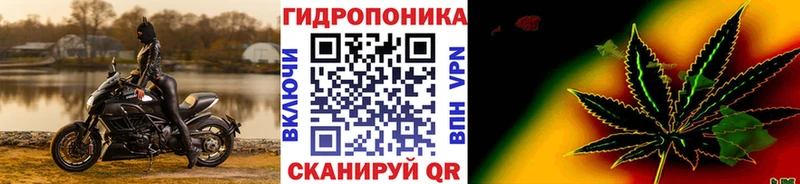 сколько стоит  Каменка  Марихуана SATIVA & INDICA 